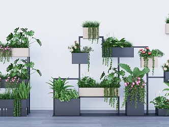 Modern Flower Box 3d model