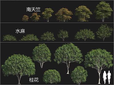 Nandina Boehmeria and Osmanthus Shrubs Different Varieties for Garden Landscape Design with Lush Foliage 3d model