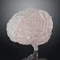 Transparent Brain Sculpture With Hair Like Textured Surface And Glass Display Base