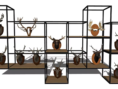 Modern Display Shelving Unit with Deer Head Specimens Arranged on Shelves 3d model
