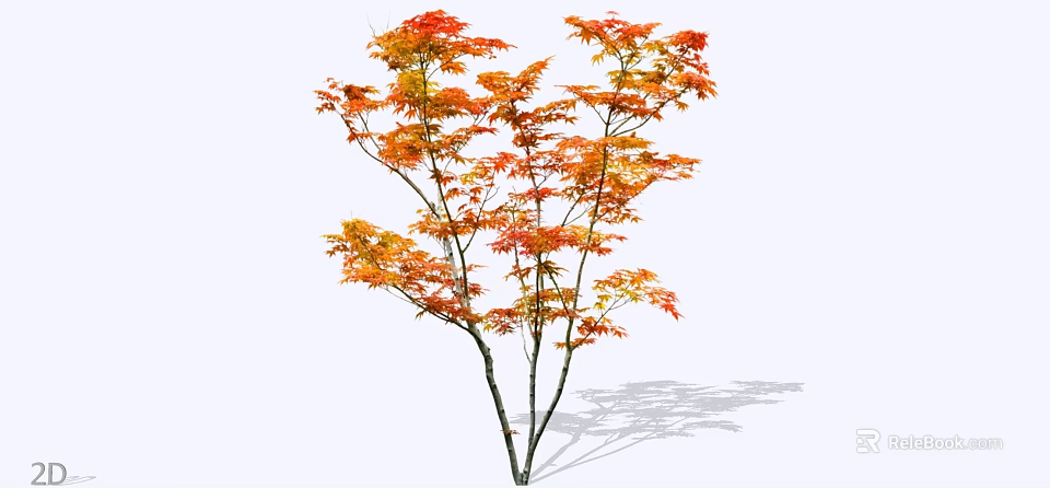 Elegant Autumn Tree Featuring Vibrant Orange Red Leaves And Spreading Branches 3d model