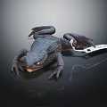 Detailed Realistic Black Toad With Folding Knife on Shiny Black Surface 3d model