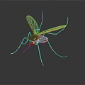 Realistic Mosquito With Green Wings Red Eyes And Black Body On Smooth Surface Reflection