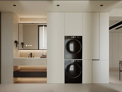 Modern Laundry Room Interior With Washer Dryer Sink And Storage Cabinets 3d model
