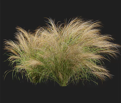 Modern Grass Natural Green Plant 3d model Modern Grass Natural Green Plant 3d model