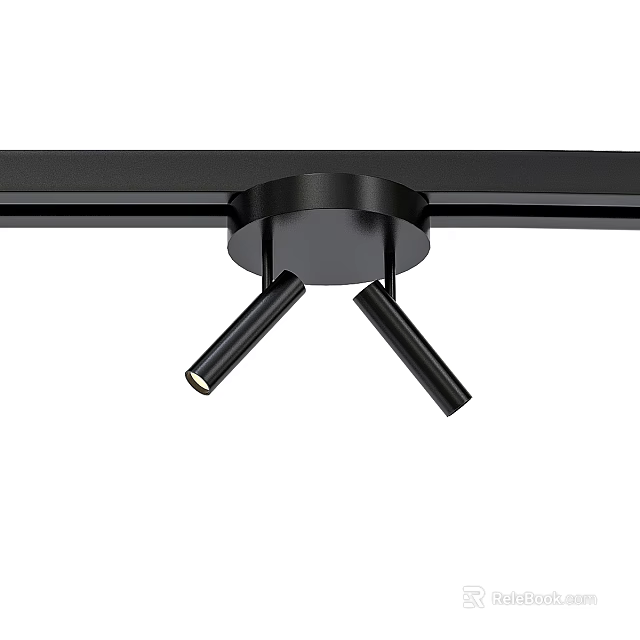 Black Downlight Spotlight with Two Adjustable Heads Ceiling Mounted Modern Lighting Fixture 3d model 