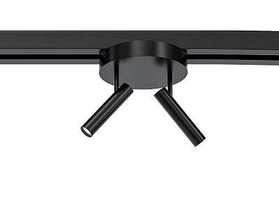 Black Downlight Spotlight with Two Adjustable Heads Ceiling Mounted Modern Lighting Fixture 3d model