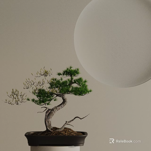 Minimalist Bonsai Tree With Curved Trunk Green Foliage And Round White Decor In Light Background 3d model 