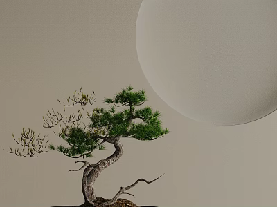 Minimalist Bonsai Tree With Curved Trunk Green Foliage And Round White Decor In Light Background 3d model