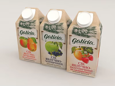 Galicia Assorted Fruit Juice Cartons 3d model