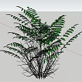 Lush Green Plants With Vibrant Leaves And Slender Stems In Natural Growth