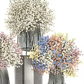 Modern Glass Vases With Colorful Assorted Flowers For Decorative