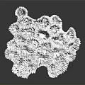 Intricate White Coral Structure On Black Background With Subtle Reflection 3d model
