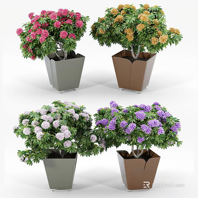 Bonsai Potted Plants With Pink Yellow White Purple Flowers In Gray And Brown Pots 3d model 