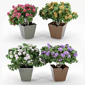 Bonsai Potted Plants With Pink Yellow White Purple Flowers In Gray And Brown Pots