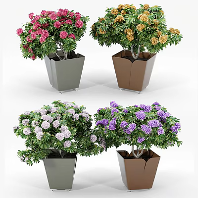 Bonsai Potted Plants With Pink Yellow White Purple Flowers In Gray And Brown Pots 3d model