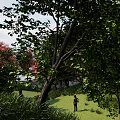 Park Landscape With Lush Green Trees Red Leaves Blue Sky And Person On Grass