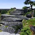 Serene Natural Garden Landscape With Large Stone Steps Green Ferns And Moss Covered Rocks