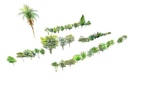 Modern Tree Plants 3d model