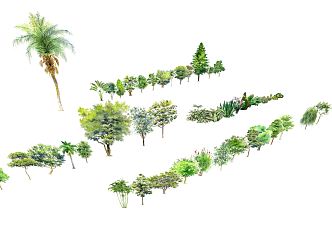 Modern Tree Plants 3d model