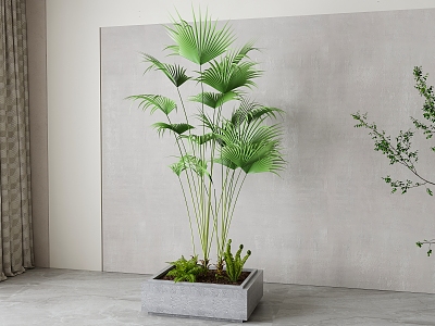 Modern Sanwei Kwai Green Plant Potted Plant model