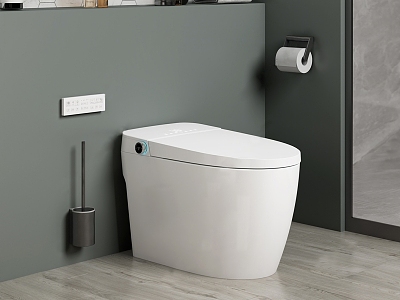 Modern Toilet Smart Toilet model