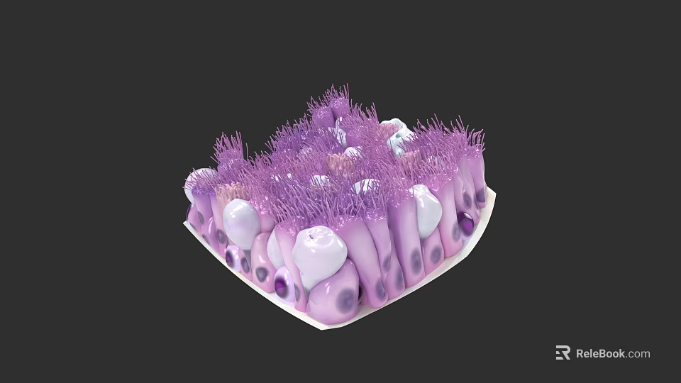 Chest Organs Anatomical Structure 3D Rendering With Purple And White Cellular Components 3d model 
