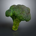 Fresh Vibrant Green Broccoli Vegetable Isolated On Dark Background For Healthy Meals