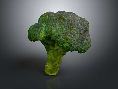 Fresh Vibrant Green Broccoli Vegetable Isolated On Dark Background For Healthy Meals 3d model