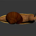 Vibrant Orange Snail with Red Striped Shell and Textured Body on Dark Background