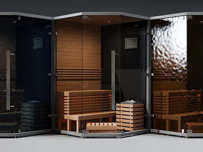 Modern Shower Sauna Interior Design With Glass Doors And Wooden Benches 3d model