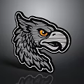 Gray Eagle Head With Feathered Texture On Dark Background And Reflection