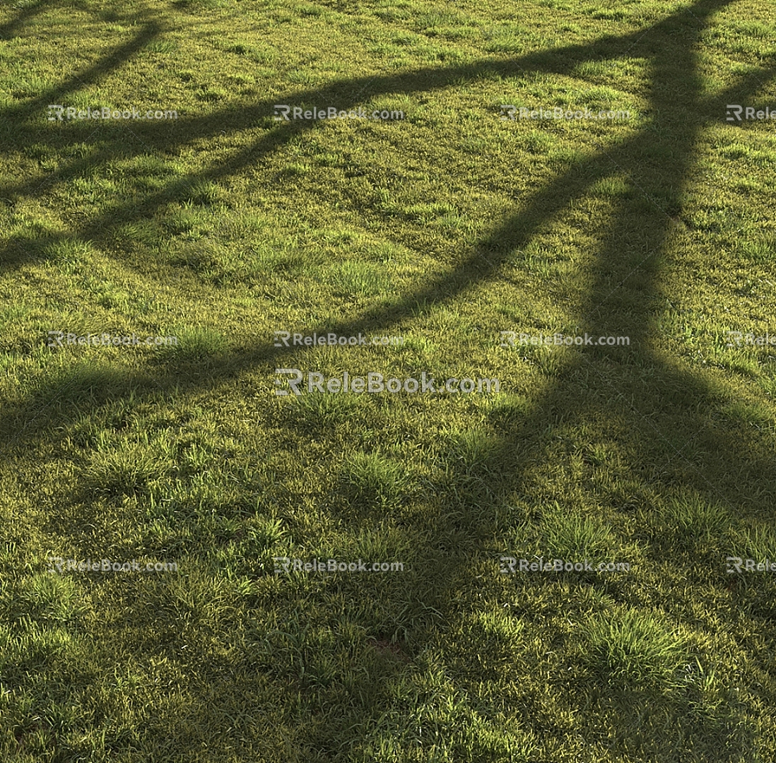 Lawn Grass Sod Shade Grass 3d model