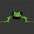 Green Frog With Large Black Eyes On Black Background