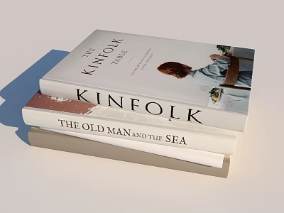 Stacked Books And Magazines Collection Including Kinfolk And The Old Man And The Sea 3d model
