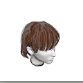 Brown Short Hair With Braid And Bangs On Head Model Side View 3d model