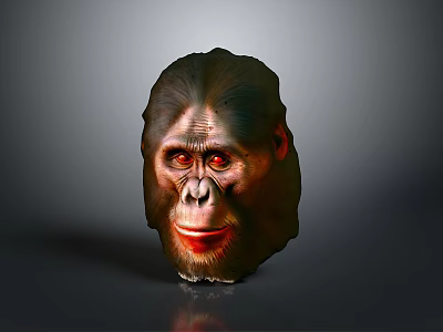 Realistic Ape Head 3D Model With Detailed Facial Features And Dark Background 3d model