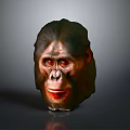 Realistic Ape Head 3D Model With Detailed Facial Features And Dark Background