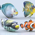Colorful Tropical Aquatic Animals With Diverse Patterns Vibrant Colors And Distinct Features 3d model