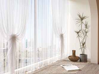 Modern gauze curtain green plant book carpet 3d model