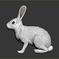White Rabbit with Long Ears Sitting Posture Smooth Fur on Dark Background 3d model