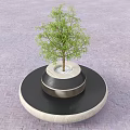 Stylish Outdoor Chair With Circular Wooden Platform And Green Tree In Brick Pavement Area
