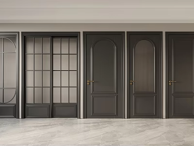 Modern Black Hinged Doors Interior Design With Panel Frames And Brass Handles 3d model