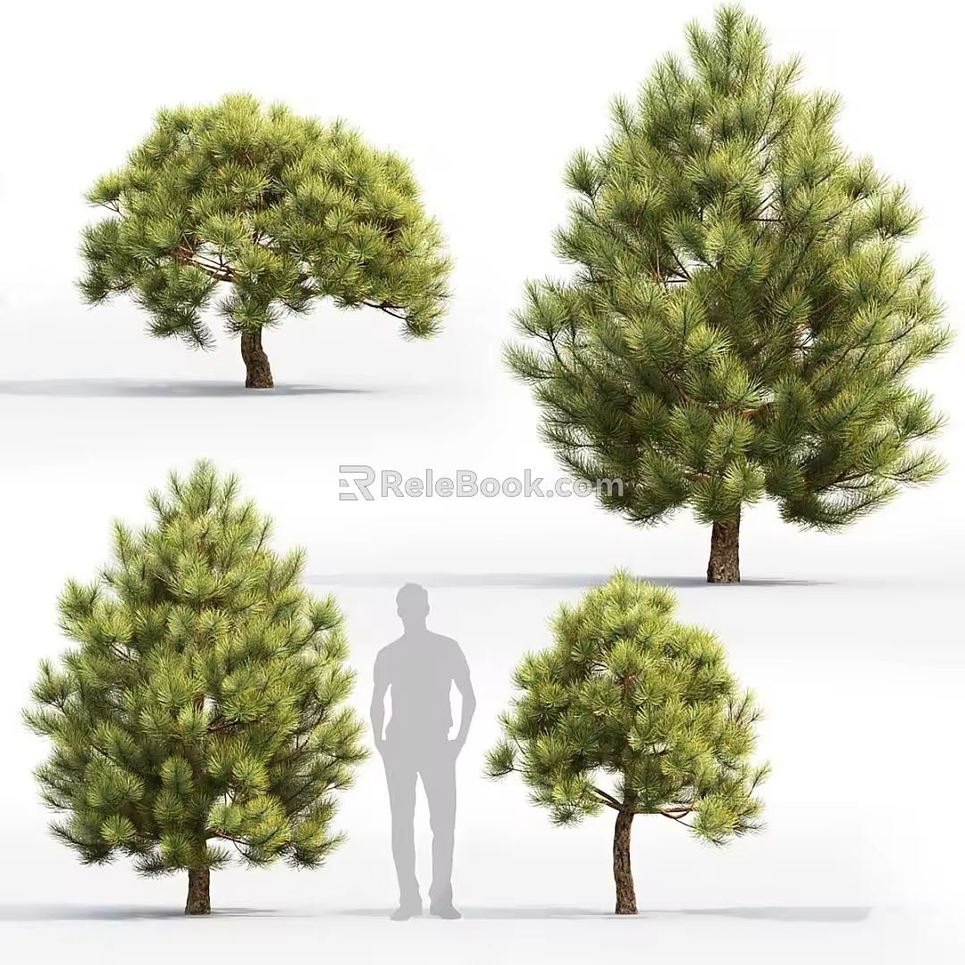 Trees Landscape Trees 3d model