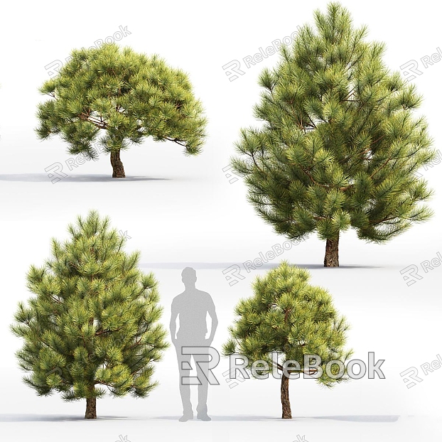 Trees Trees Landscape Trees model