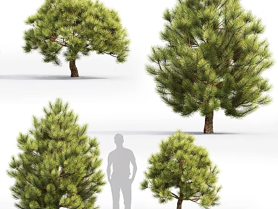Various Green Shrubs in Different Sizes Featuring Human Silhouette for Landscaping Design 3d model