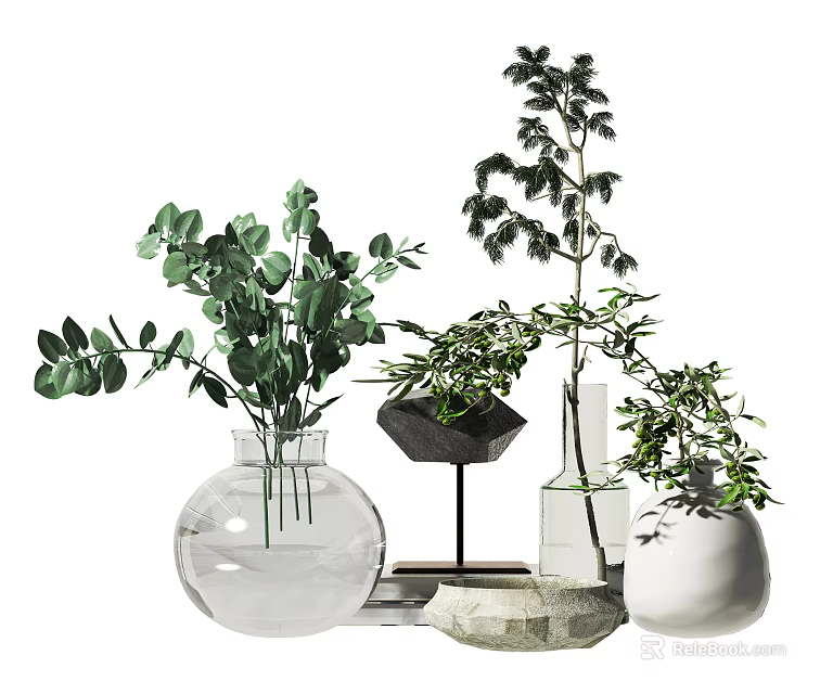 Various Transparent Spherical Slender Vases With Black Base White Body Holding Green Eucalyptus Leaves Branches 3d model 