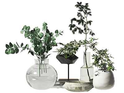 Various Transparent Spherical Slender Vases With Black Base White Body Holding Green Eucalyptus Leaves Branches 3d model