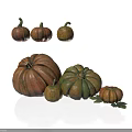 Fresh Pumpkins In Various Sizes And Different Colors On White Background