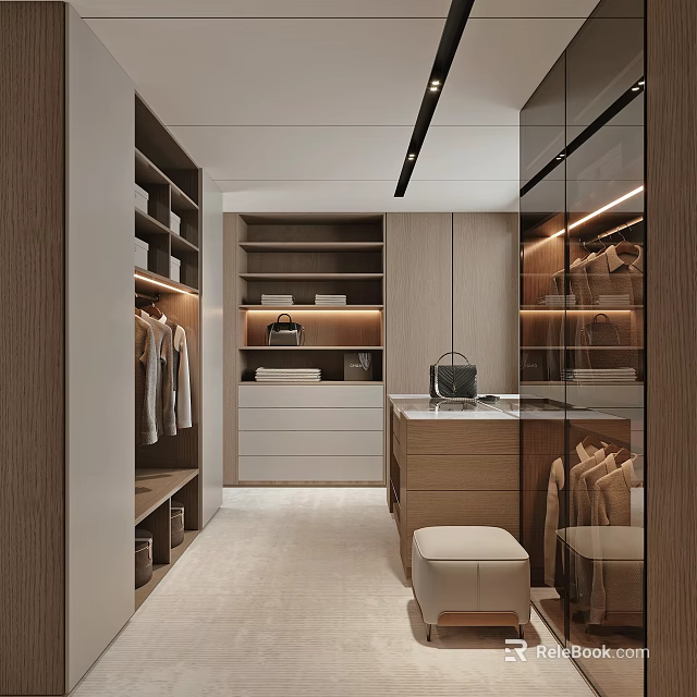 Modern Walk in Closet Interior Design With Wooden Cabinets Glass Doors And Hanging Rails 3d model 